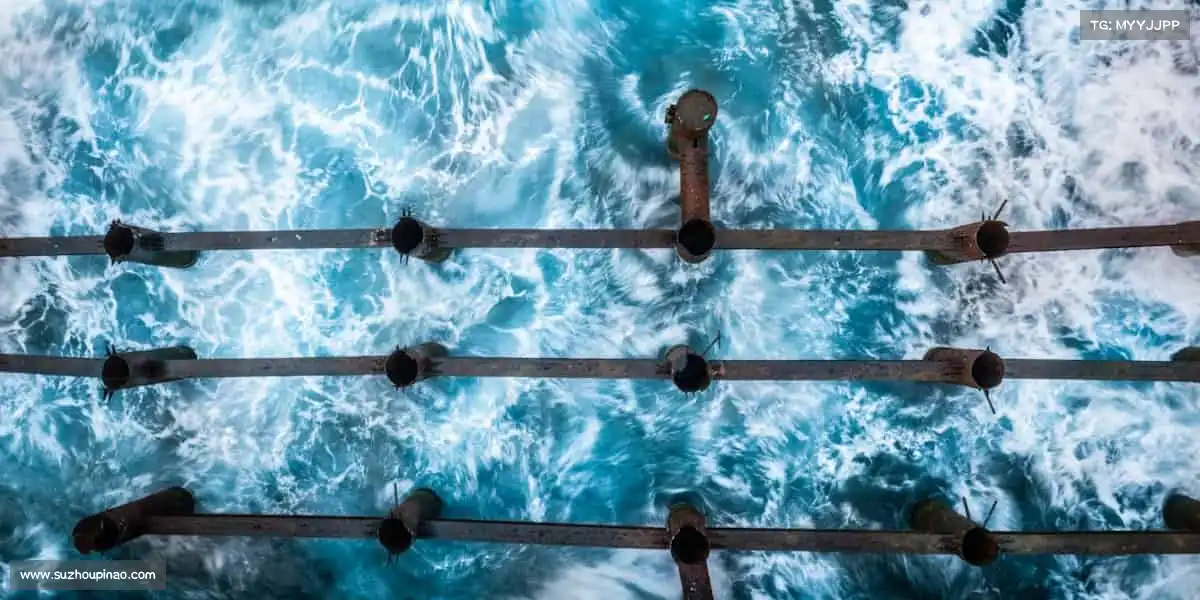 金年会app下载入口——每一步,都为热爱!🏃♀️